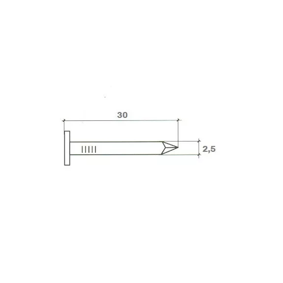 Fedéllemezszeg Horganyzott/Palaszeg/ 25*30 Mm