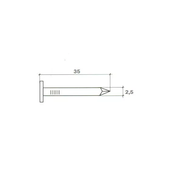 Fedéllemezszeg Horganyzott/Palaszeg/ 1 Kg/Cs 25*35 Mm